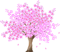bd_sakura61.gif
