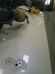 SBSH0011_R.jpg