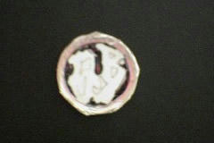 badge5