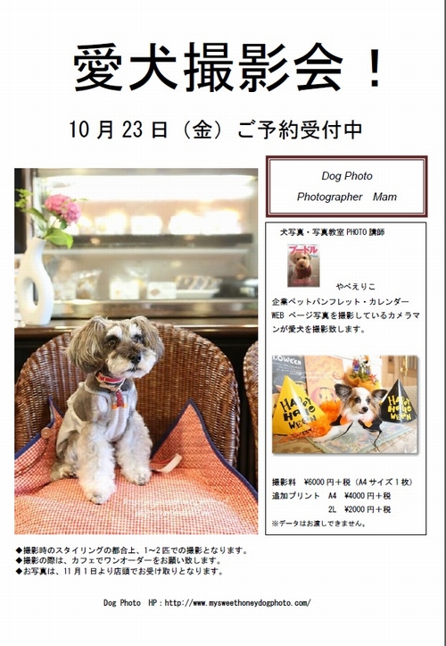 愛犬撮影会