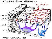 4f4f26db.gif