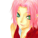 主線なしサクラ