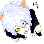 ネフェルピトー