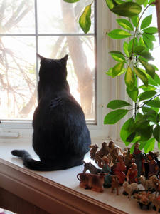 PC071230.jpg