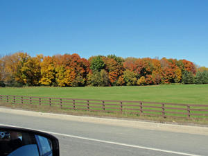 PA102250.jpg