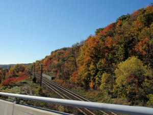PA102268.jpg