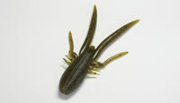 shrimp1.jpg