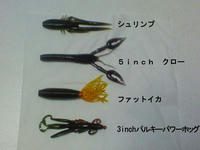 shrimp7.jpg