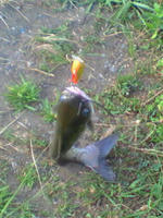 200807311740000.jpg