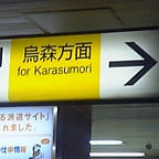 からすもり