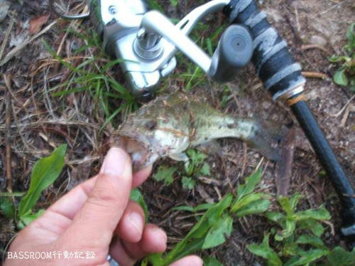 BASSROOM行動記録