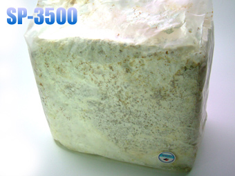 自作菌糸ビン作成のための菌糸ブロック