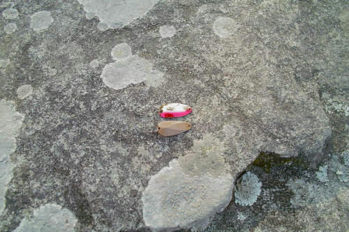 20090411_3.jpg