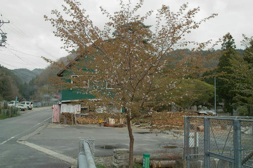 20090417_3.jpg