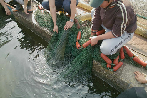 20090419_11.jpg
