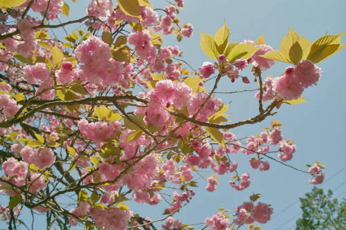 20090422_4.jpg