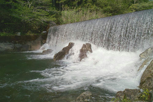 20090509_2.jpg