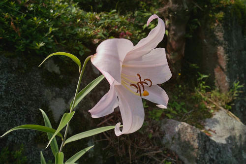 20090608_8.jpg