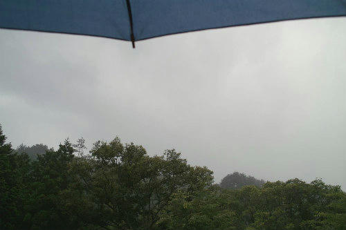 20090713_1.jpg