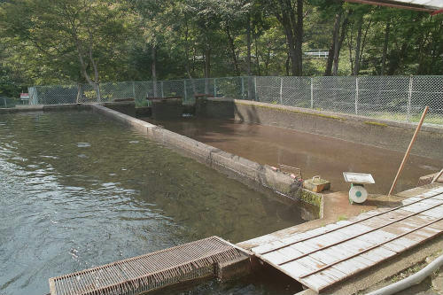 20090719_1.jpg