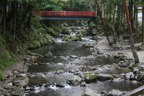20091007_2.jpg
