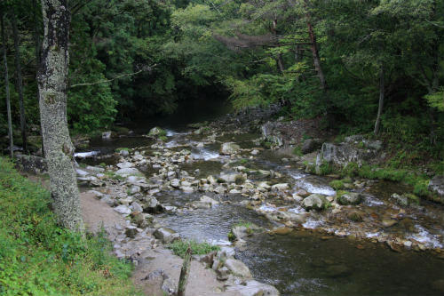 20091007_1.jpg