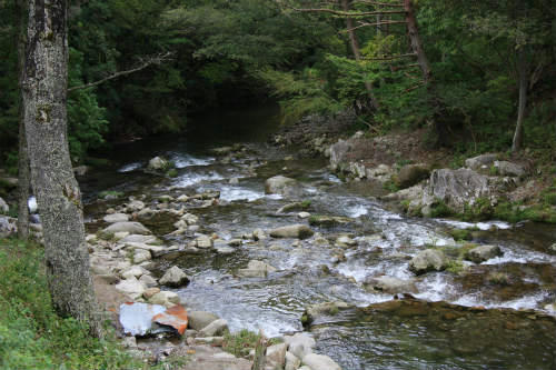 20091009_4.jpg