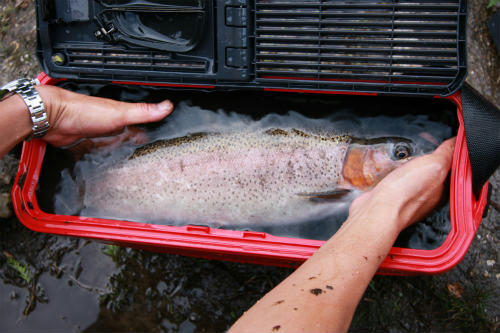 20091009_6.jpg