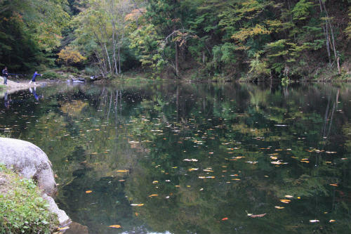 20091017_1.jpg