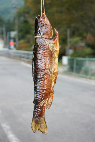 20091017_2.jpg