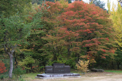 20091024_5.jpg