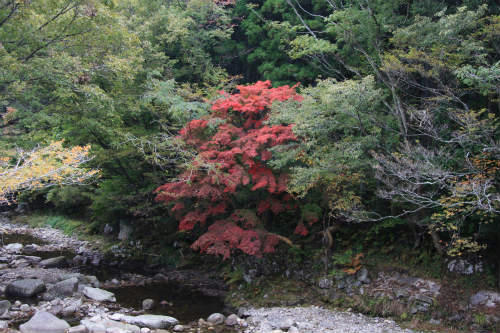 20091024_7.jpg
