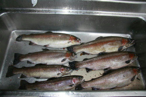 20091101_1.jpg