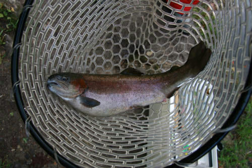 20091102_1.jpg