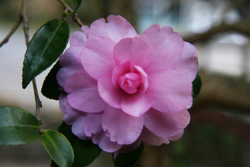 20091106.jpg