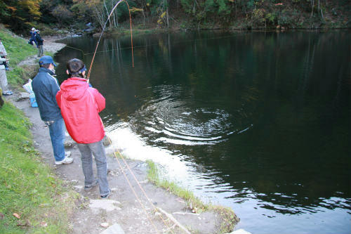 20091103_3.jpg