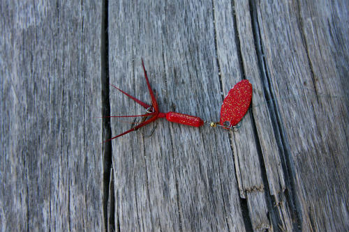 20091103_2.jpg