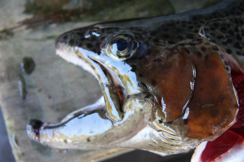 20091107_2.jpg
