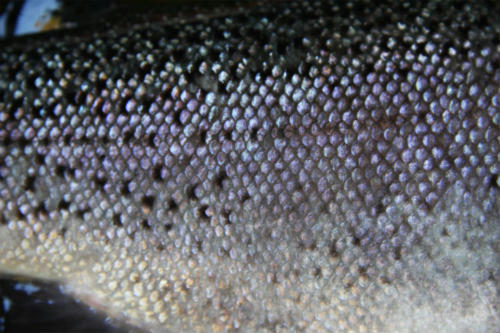 20091107_4.jpg