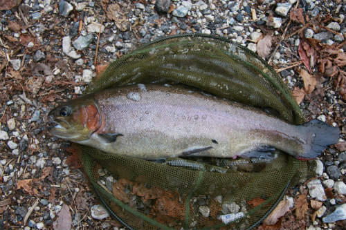 20091116_2.jpg