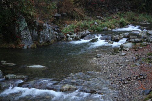 20091117_2.jpg