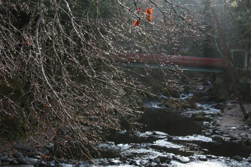 20091130_1.jpg