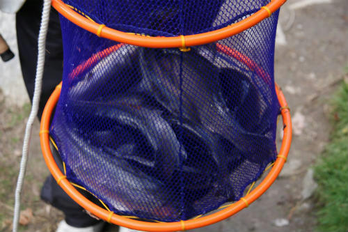 20091206_2.jpg