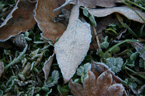 20091202_5.jpg