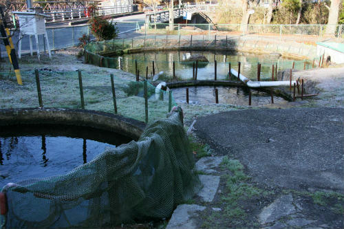 20091207_2.jpg