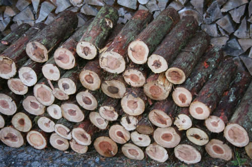 20091209.jpg