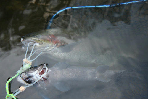 20091212_3.jpg