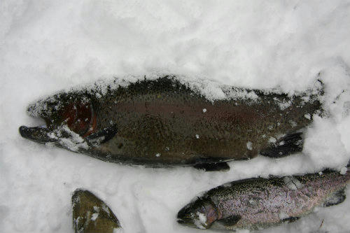 20091219_2.jpg