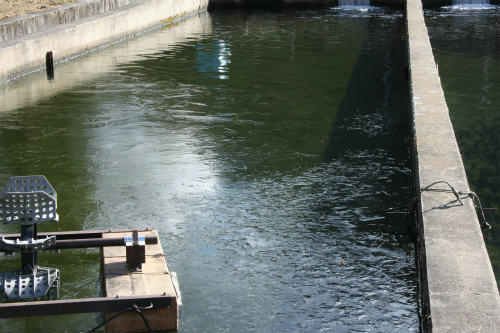 20091218_2.jpg