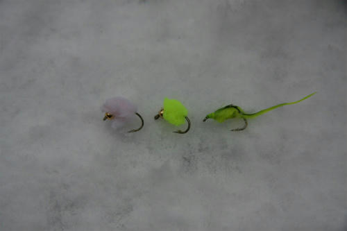 20091219_3.jpg